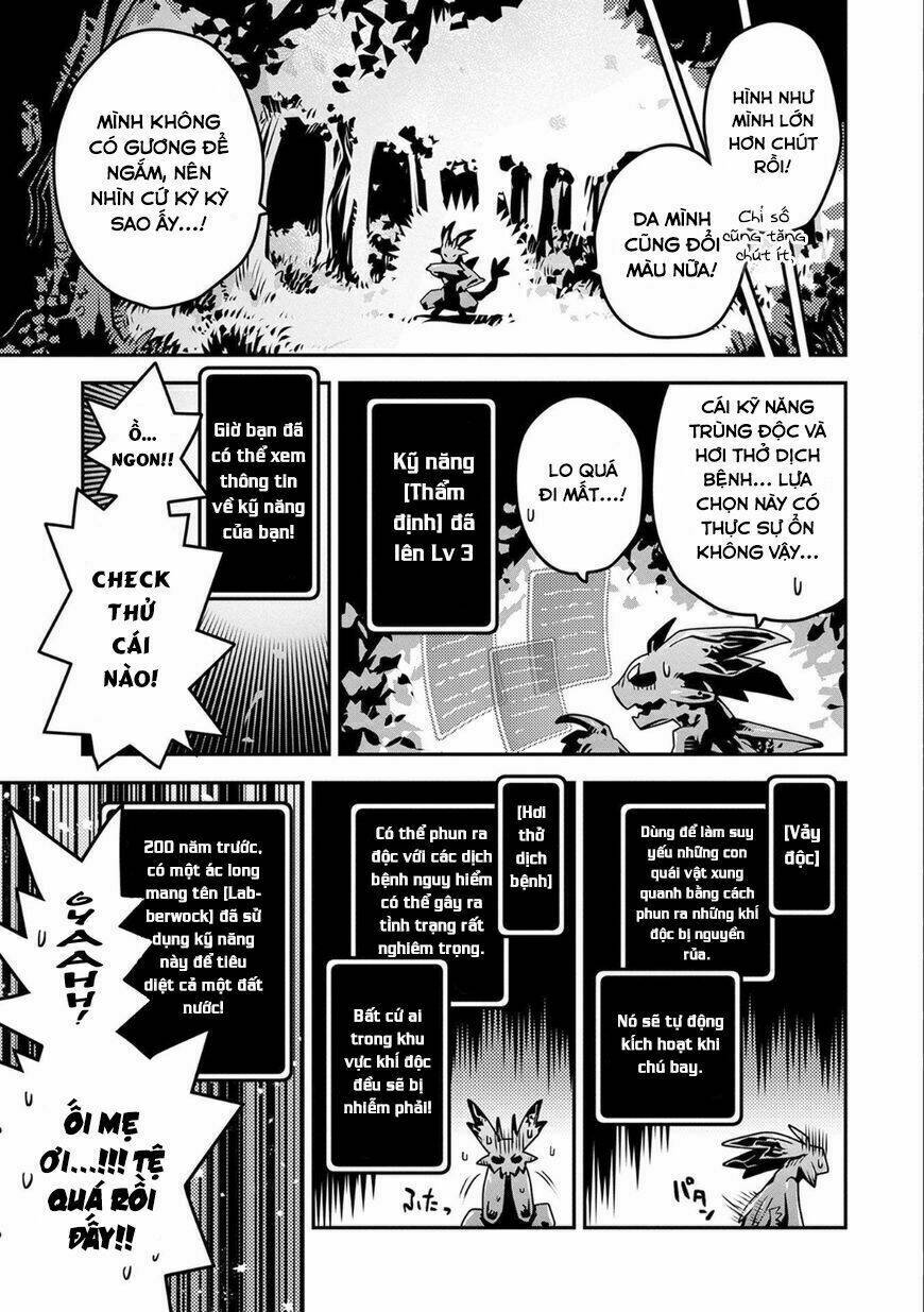 reincarnated as a dragon's egg - let's aim to be the strongest, chapter 3 13