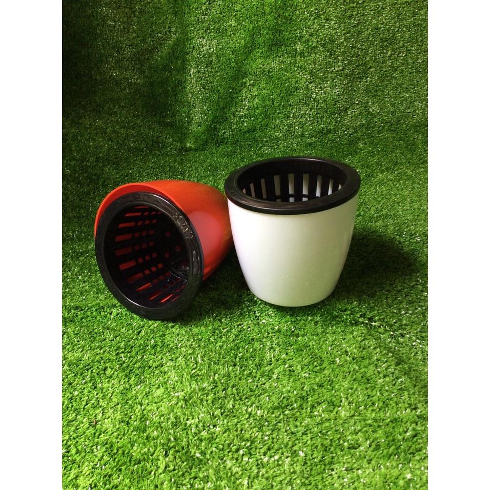 Combo Bộ Chậu Tự Dưỡng, Trồng Cây Thủy Sinh