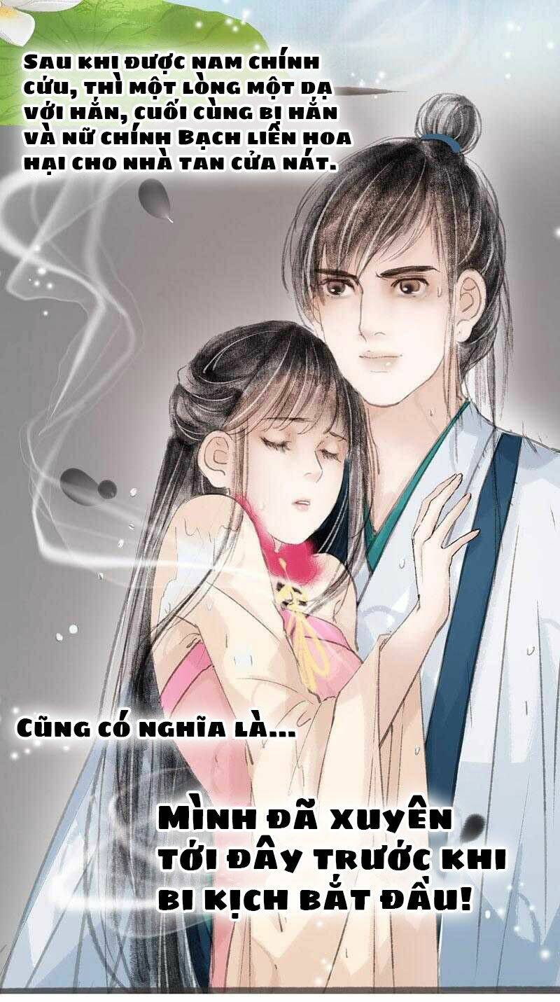 nữ phụ không điển hình chapter 2 8