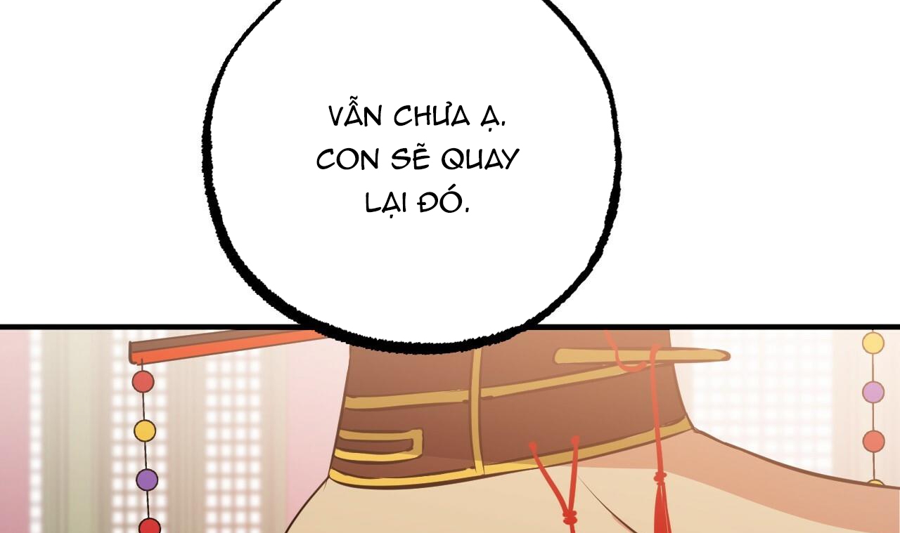 những chú thỏ của hapypy chapter 49 159