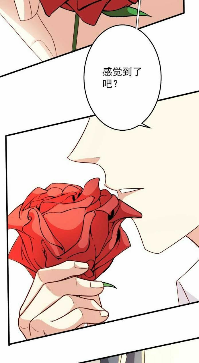 nguyệt dạ hương vi lai chapter 13 41