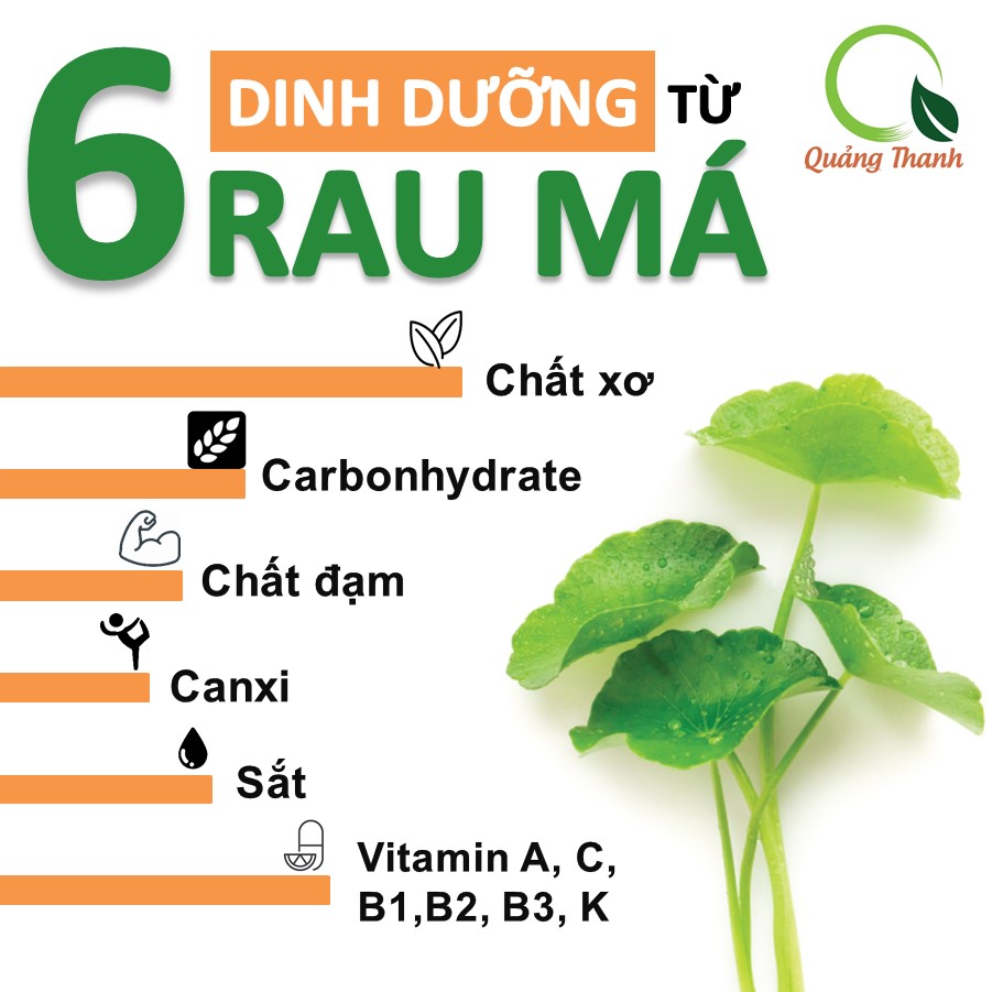 Bột rau má sấy lạnh Quảng Thanh, bịch 50gr - Giải độc, mát gan, thanh nhiệt cơ thể, giảm mụn, đẹp da