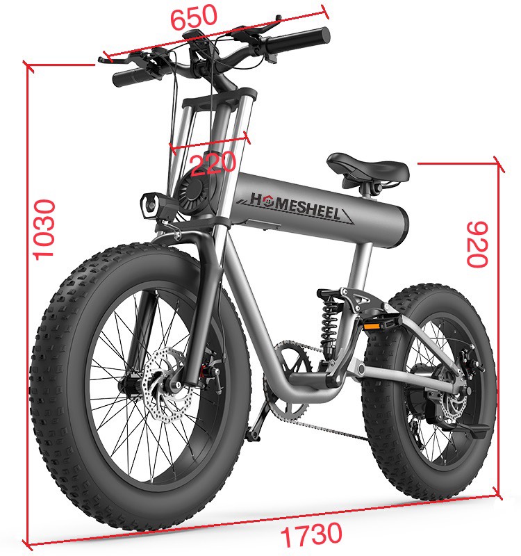 Xe Điện Thể Thao Homesheel T20pro - Hàng Chính Hãng
