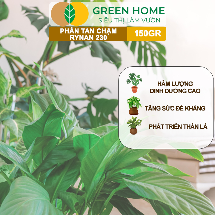 Phân tan chậm Rynan 230, chai 150gr, chuyên kiểng lá, dưỡng lá xanh, sinh trưởng khoẻ |Greenhome
