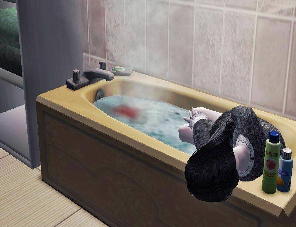 no name ( the sims ) chapter 3 83