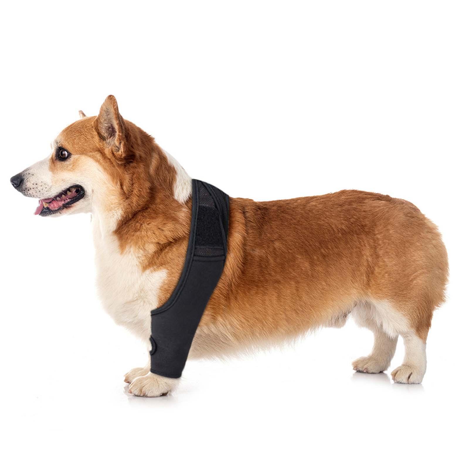 Dog Knee Brace Auxiliary Strap Osteoarthritis Helper Hind Legs Joint Support