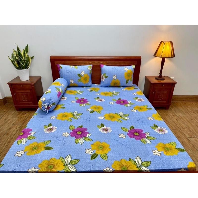 GIÁ SỈ Bộ Ga gối thun lạnh Hàn Quốc xịn -mềm mát giá tốt nhất 1m-1m8x2m