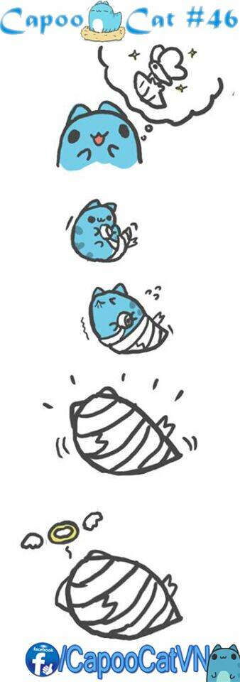 capoo cat chapter 5 6