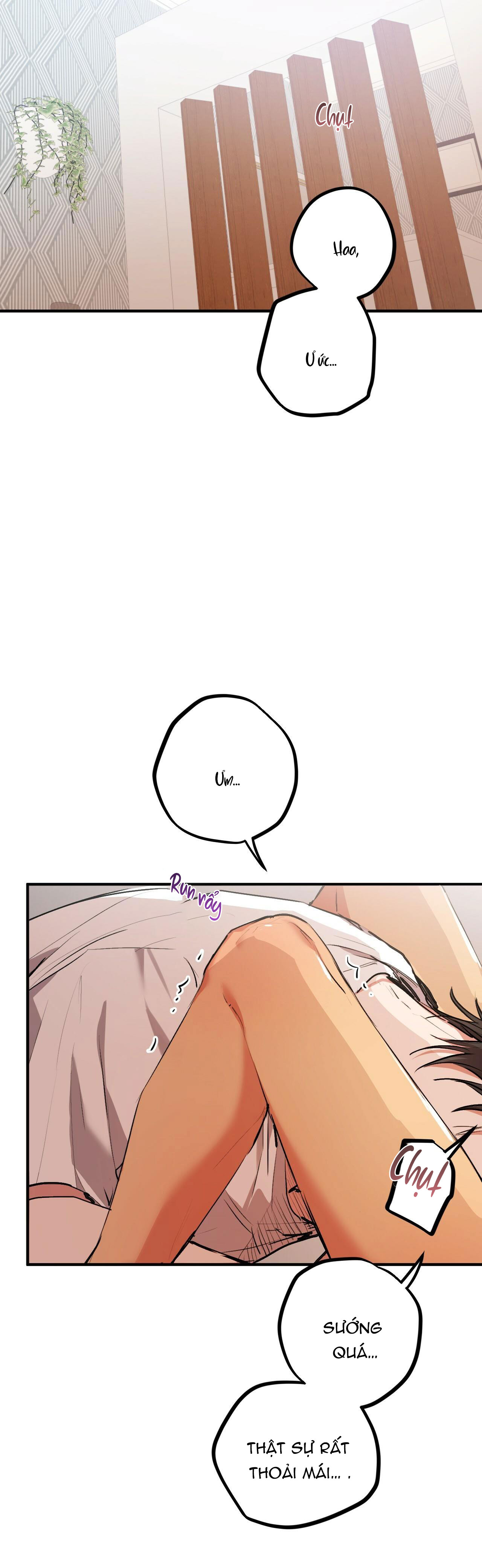 những chú thỏ của hapypy chapter 33 15