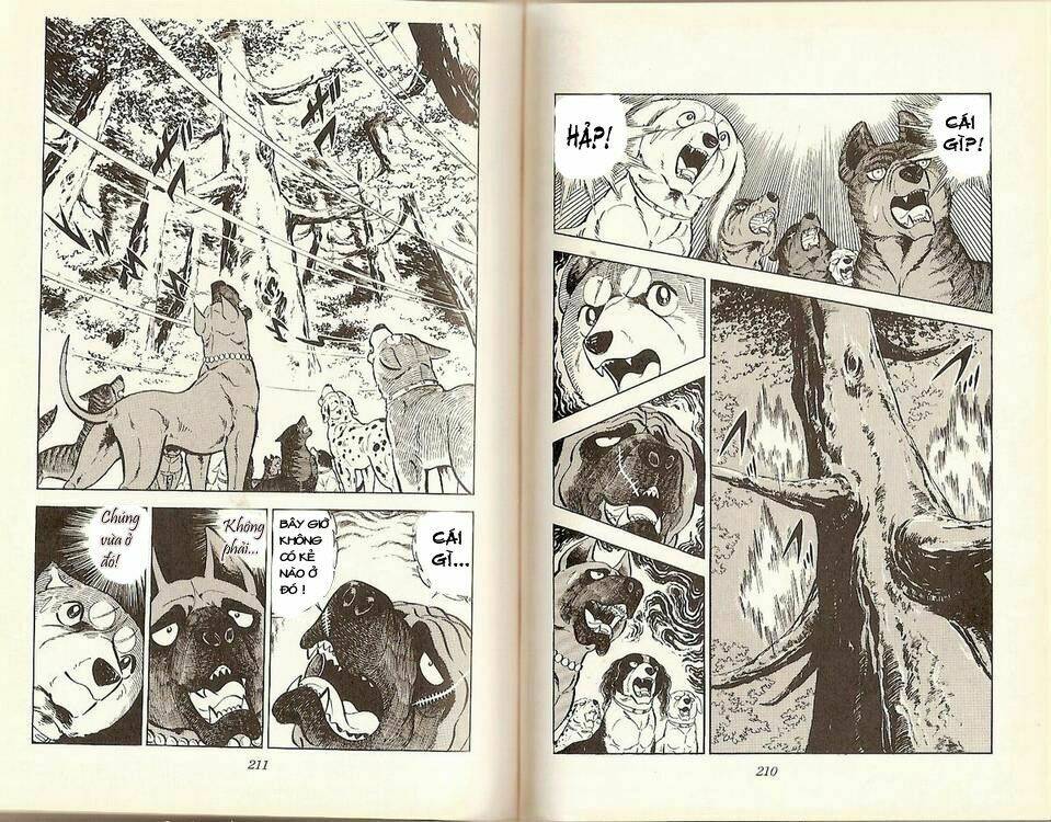 chú chó có nghĩa - ginga nagareboshi gin chapter 17 12