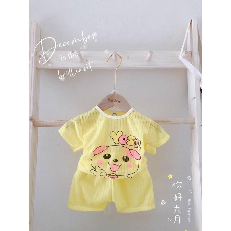 Combo 5 bộ coton giấy màu cộc cho bé gái size 4-15kg