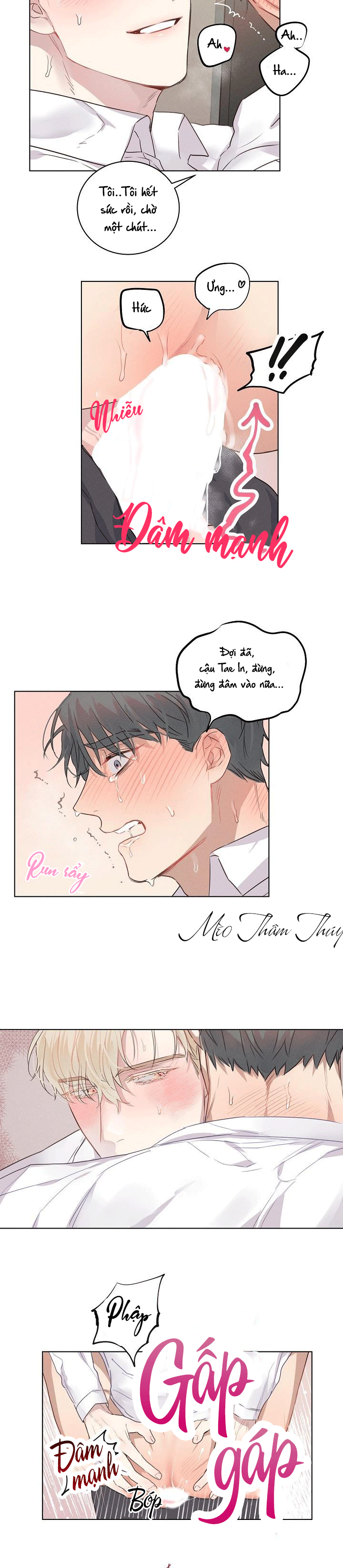 nơi tình yêu định mệnh chapter 6 4