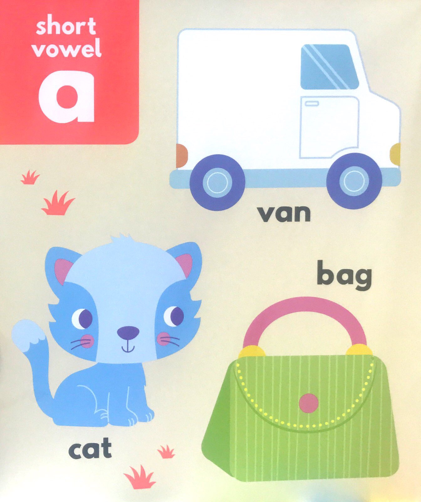 Little Beginners First Phonics