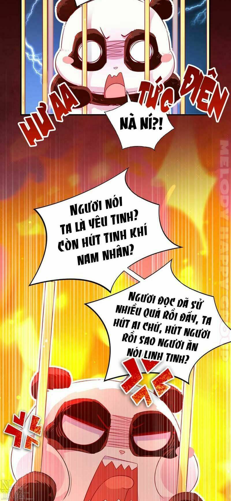 thiên thần gấu trúc muốn được ôm chapter 56 20