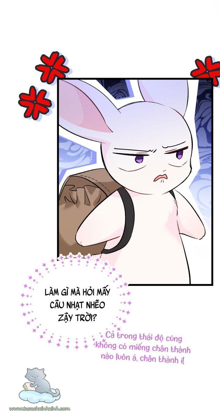 quan hệ cộng sinh giữa báo đen và thỏ trắng chapter 62 11