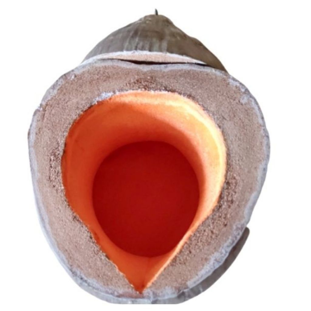Vỏ Bình Trà Trái Dừa Có Sơn Bóng Màu Nâu Đỏ Và Bình Trà 850 - 950ml - Sản Phẩm Được Sản Xuất Tại Bến Tre