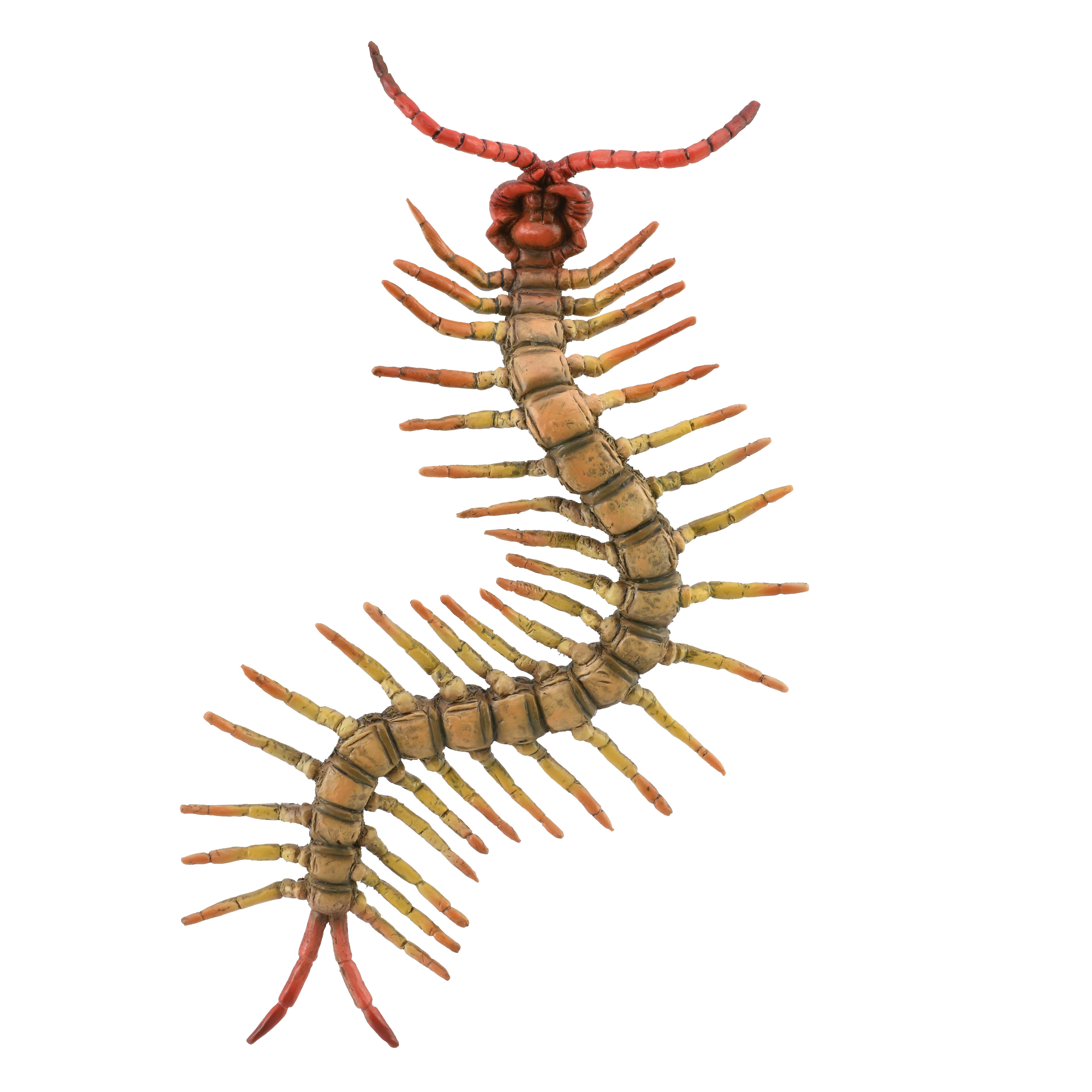 Mô hình thu nhỏ: Rết - Centipede, hiệu: CollectA, mã HS 9653040 - Chất liệu an toàn cho trẻ - Hàng chính hãng