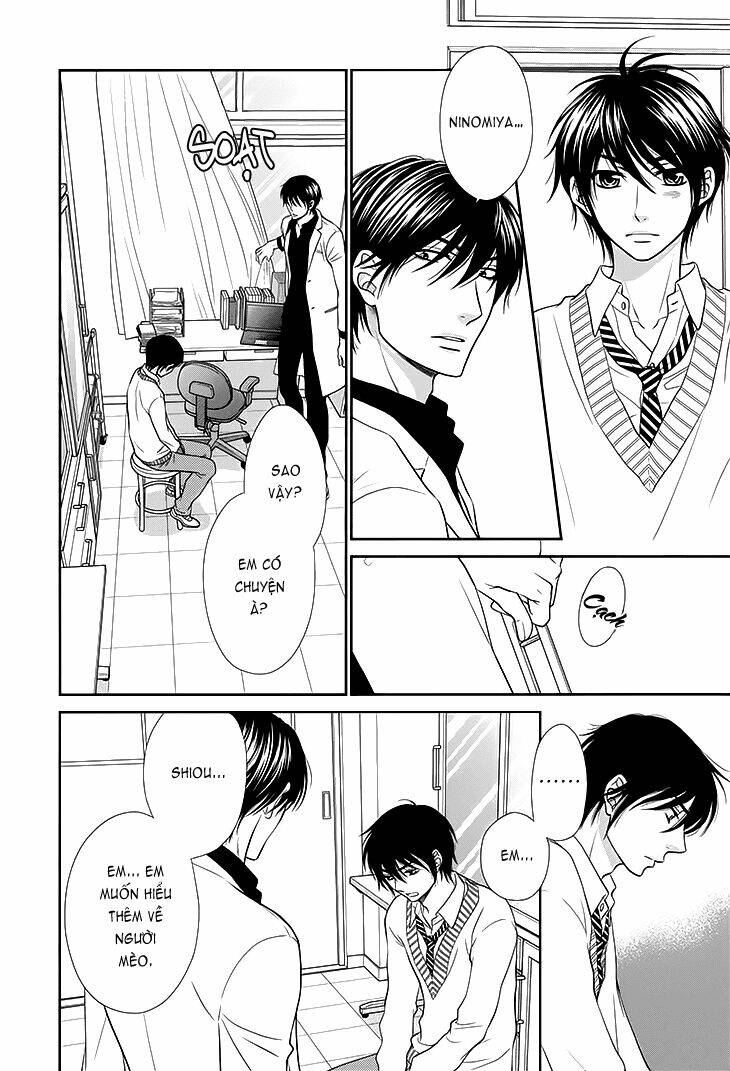 nekoka danshi no shitsukekata chapter 12 10