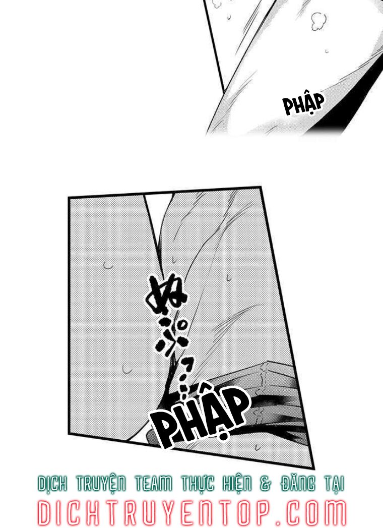 trêu ghẹo "gấu" nhà tôi! chapter 49 16