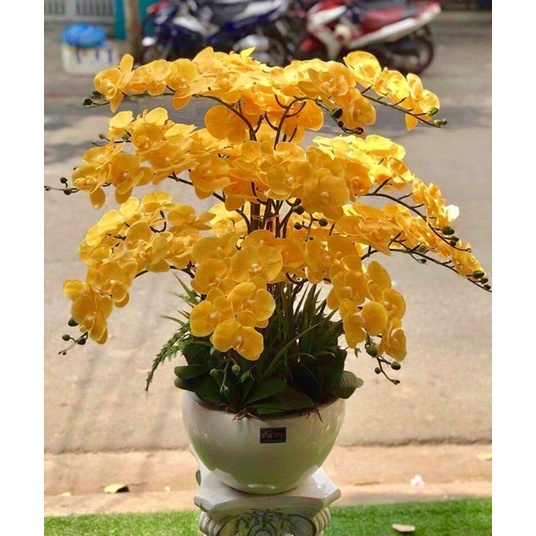 Cành hoa lan hồ điệp cao su 9 bông cao cấp thân đốm- Hoa giả,hoa lụa