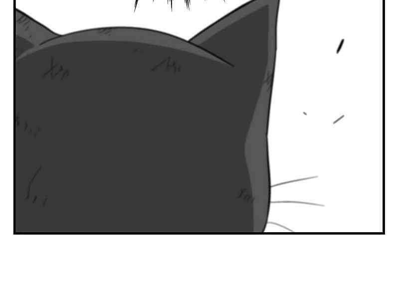 đấng cứu thế được chọn lựa chapter 12 228