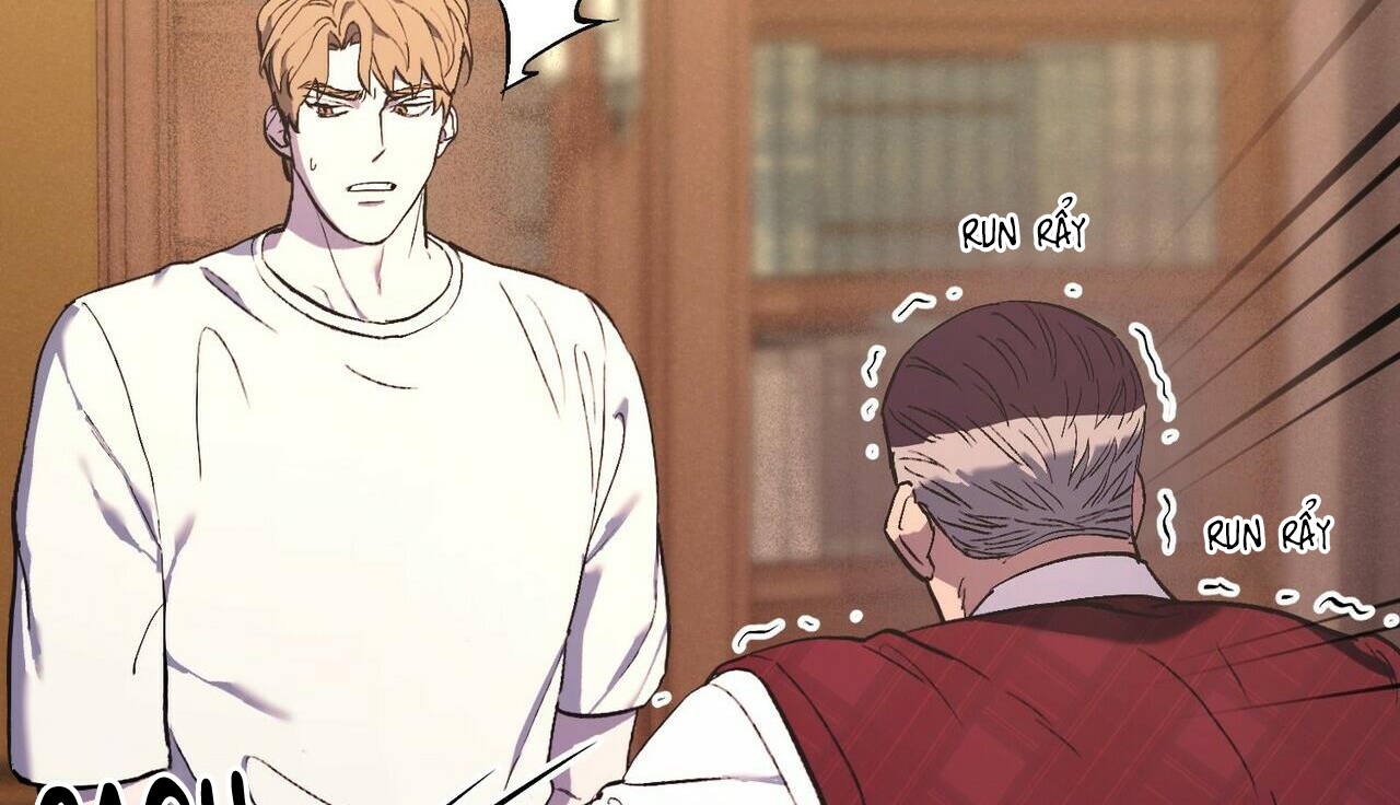 chàng dâu nhà họ kang chapter 27 33