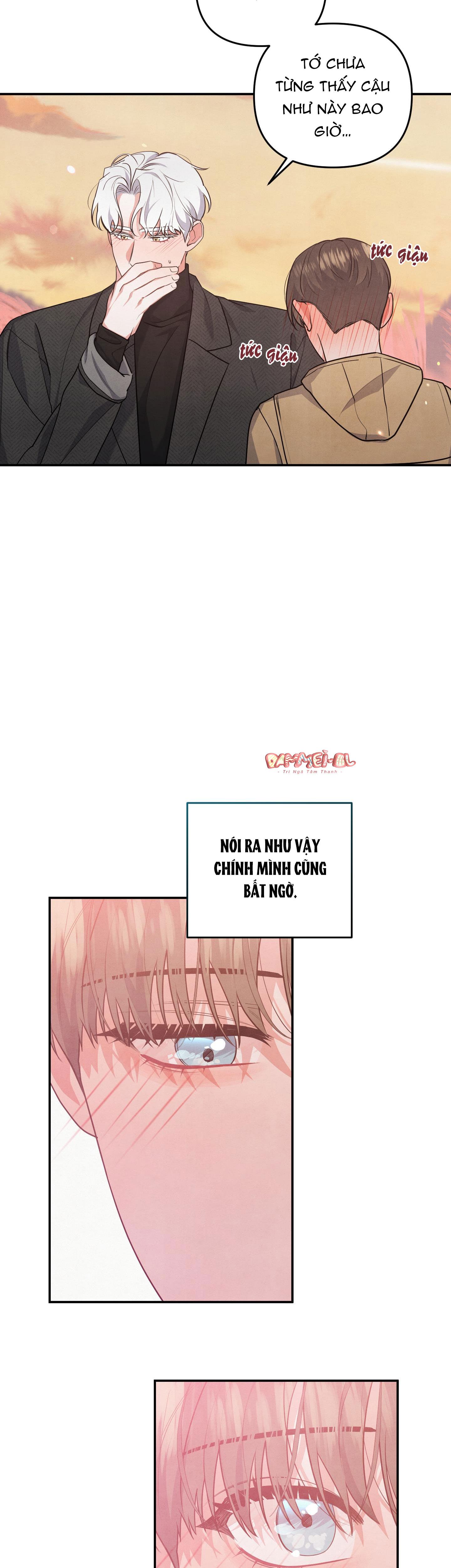 mối quan hệ ngu ngốc chapter 27 8