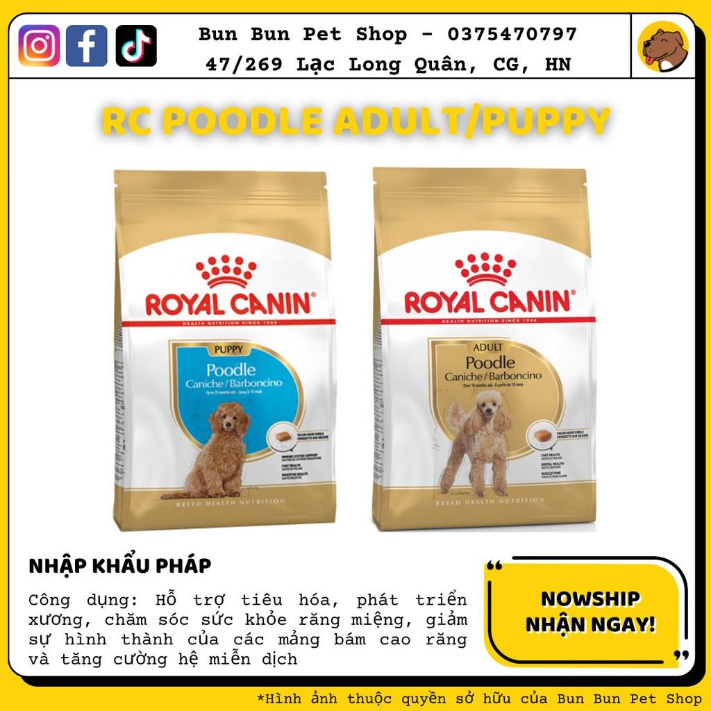 Hạt khô ROYAL CANIN POODLE Puppy/Adult dành cho chó