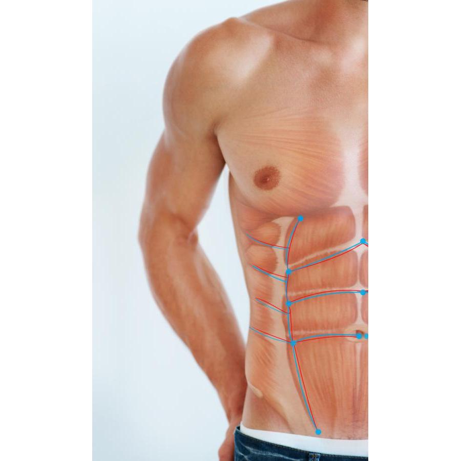 Đai massage hỗ trợ giảm béo và tạo cơ  vùng bụng, lưng Boditek BBMG công nghệ EMS (6 điện cực)