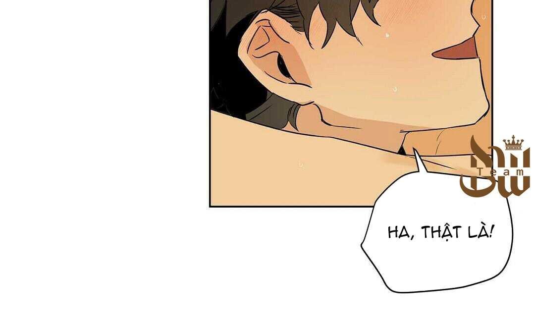 guide cấp b chapter 38 161