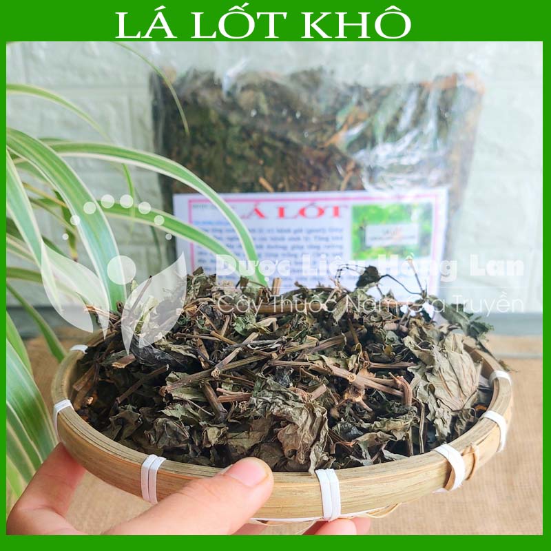 Lá Lốt khô sạch đóng gói 1kg