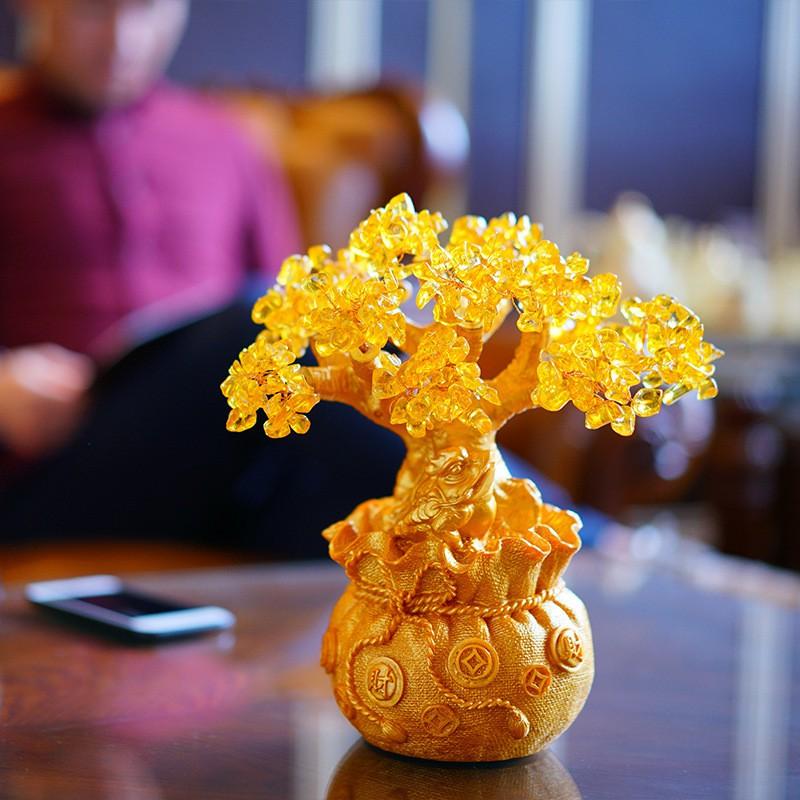 Cây phát tài cây kim tiền tài lộc nhí trang trí tết