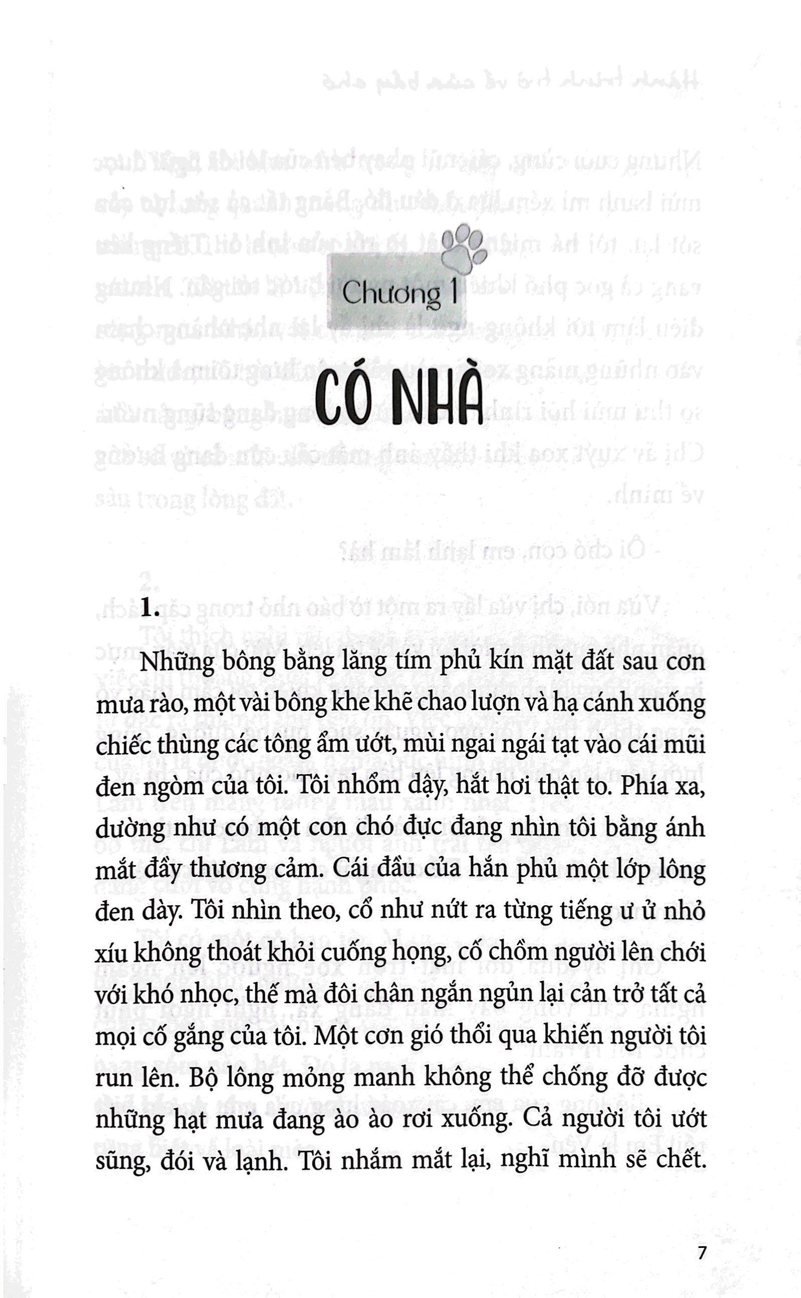 Hành Trình Trở Về Của Bầy Chó