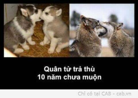 rage comic-troll chapter 50 9