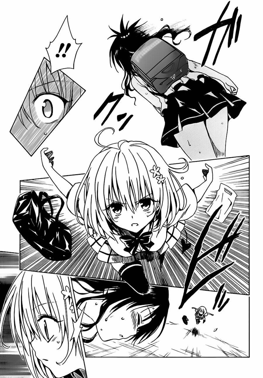 bọn tớ thích cậu! rito 2 - venus chapter 13 22