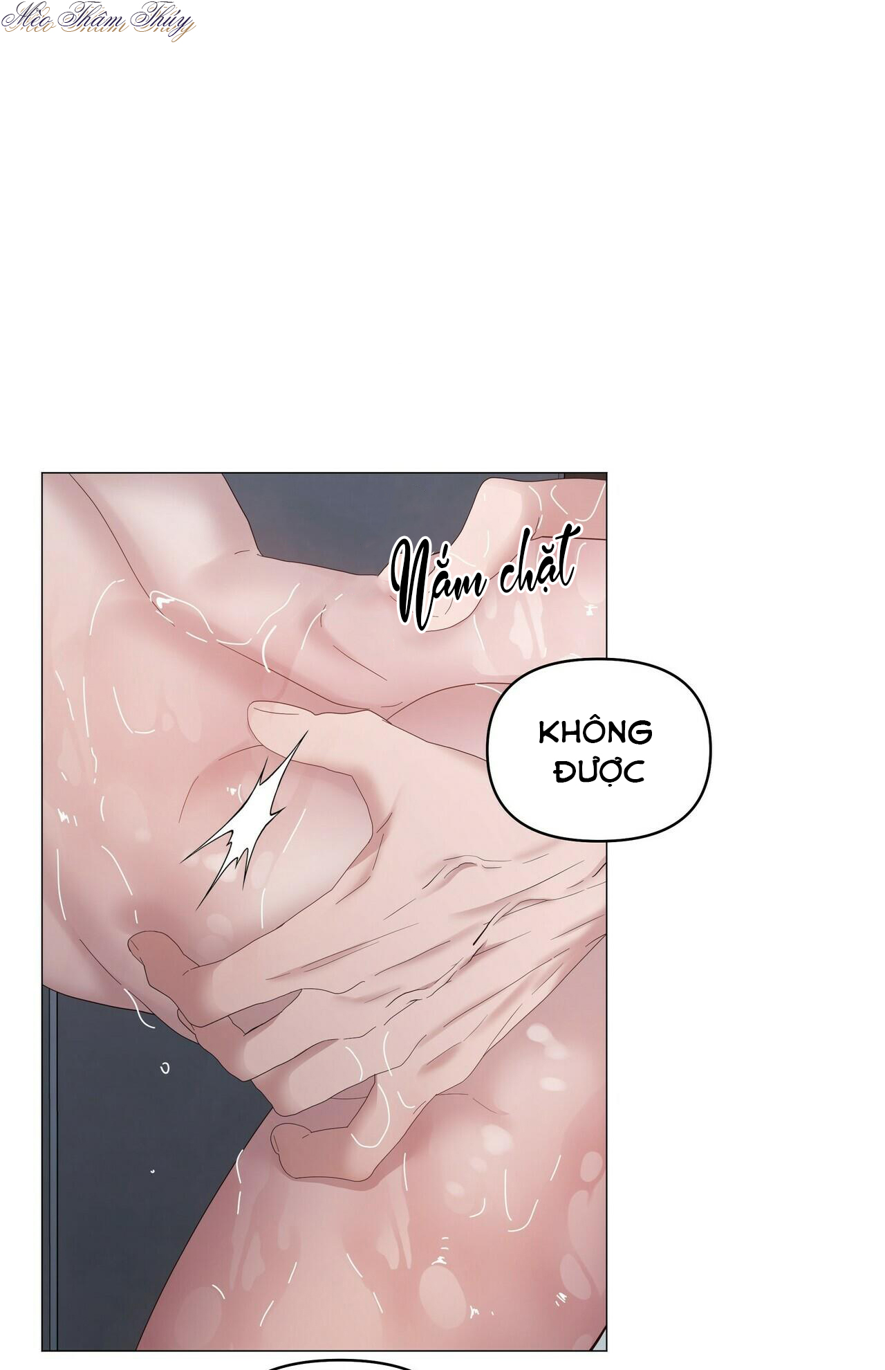 hội chứng chapter 36 31