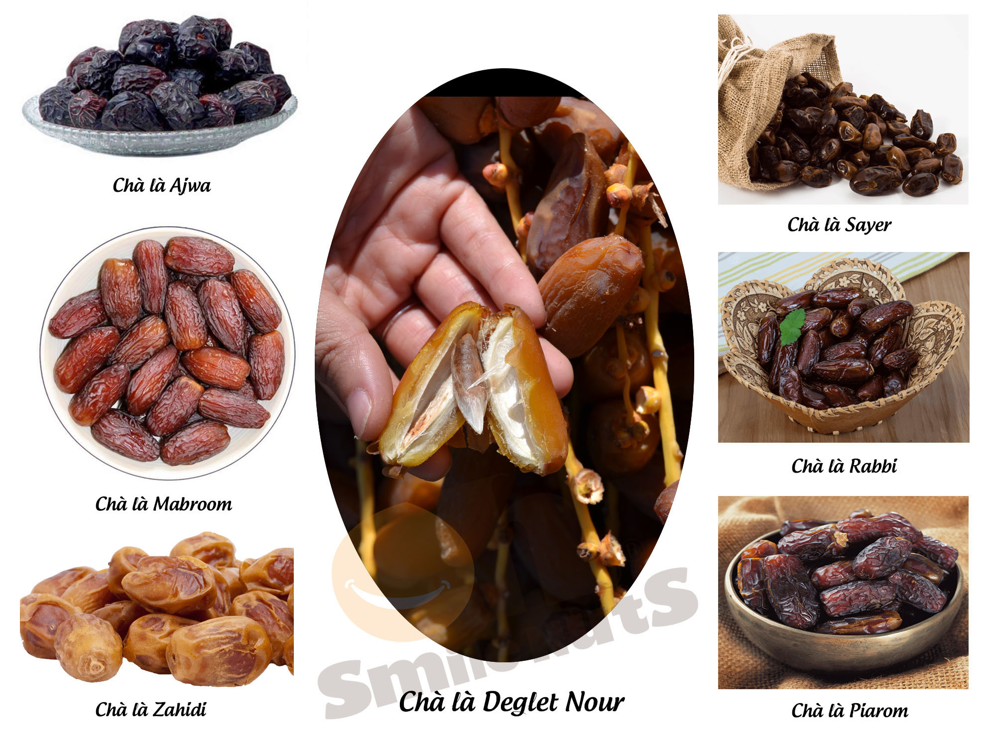 Chà Là Nguyên Cành Smile Nuts hộp 250g - Dòng Chà Là Deglet Nour Nhập Khẩu Từ Tunisia (Chà là với thớ thịt mềm, dẻo, thoảng vị mật ong)