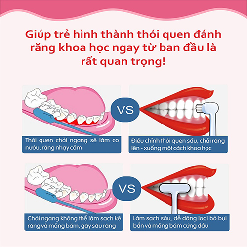 Combo 6 bàn chải đánh răng more-T trẻ em