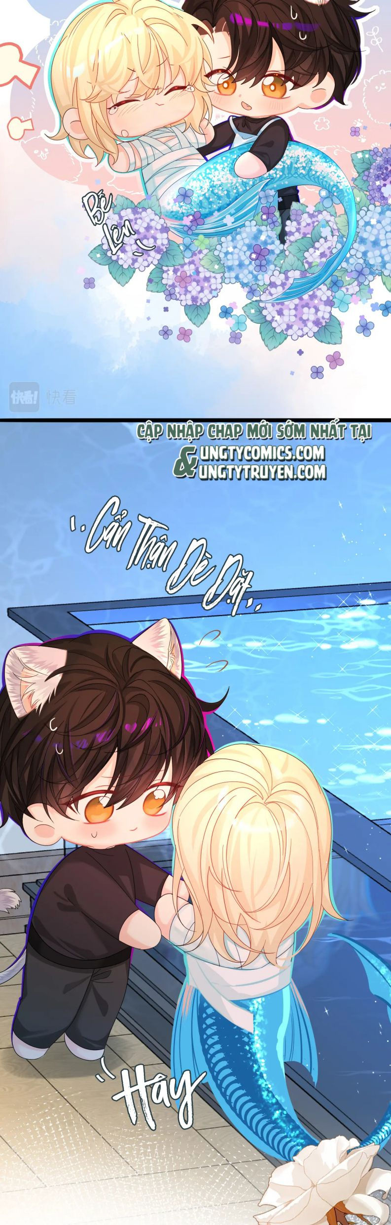 nhân ngư rơi xuống chapter 39 7