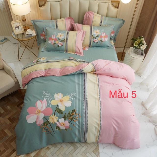 Bộ cotton oragnic 4 món màu sắc mới