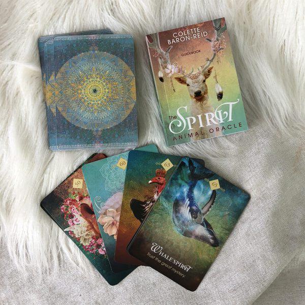 Spirit Animal Oracle - Bộ Bài Tarot Thần Thú Oracle