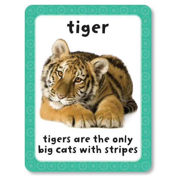 Sách ngoại văn: Get Set Go Flashcards - Animals