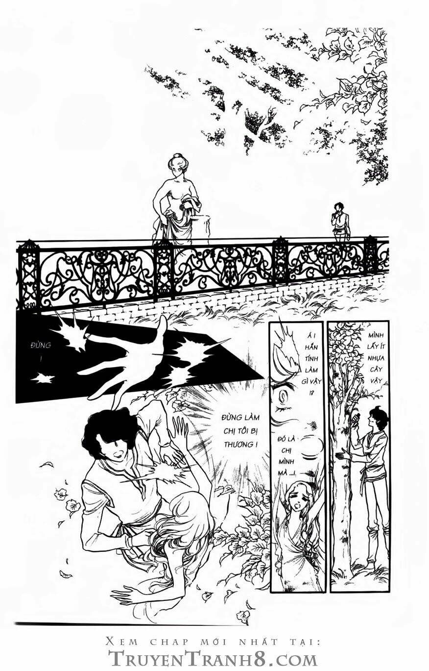 swan - vũ khúc thiên nga chapter 65 10