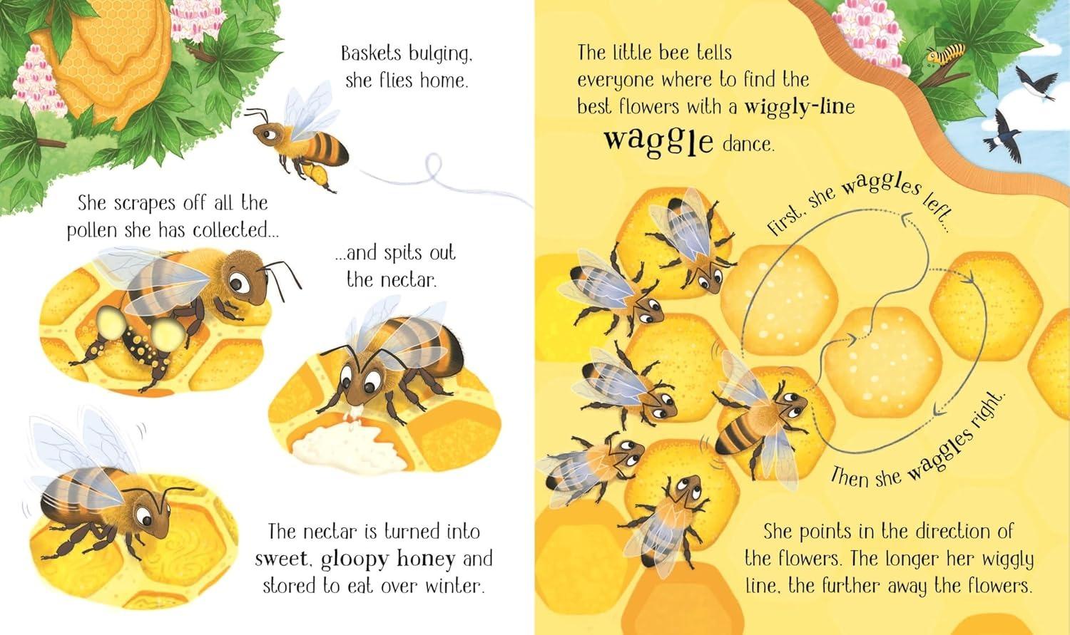 Sách ngoại văn: One Little Bee