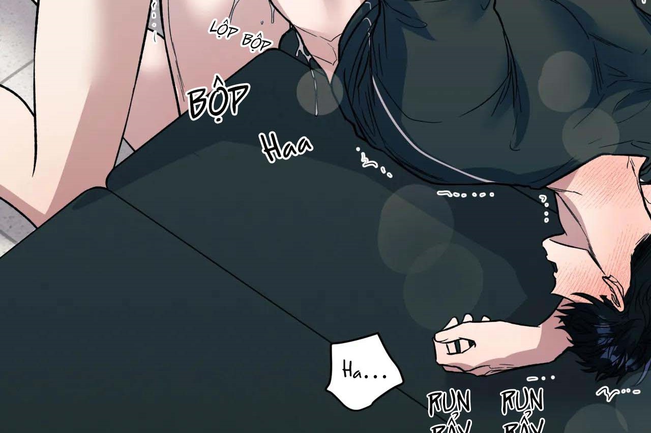 ám ảnh pheromone chapter 55 74