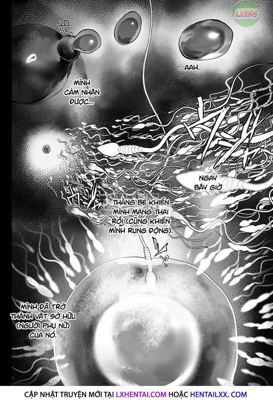mối quan hệ có qua có lại với người phụ nữ đã kết hôn chapter 0 37