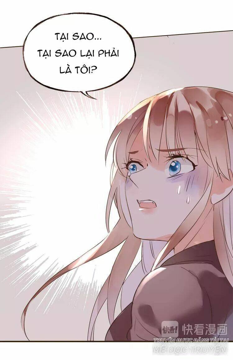 nở rộ trên bụi gai chapter 40 41