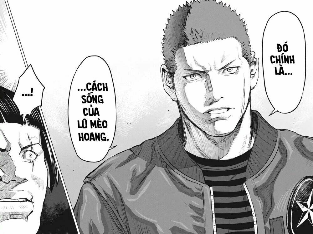 nyankees chapter 8 20