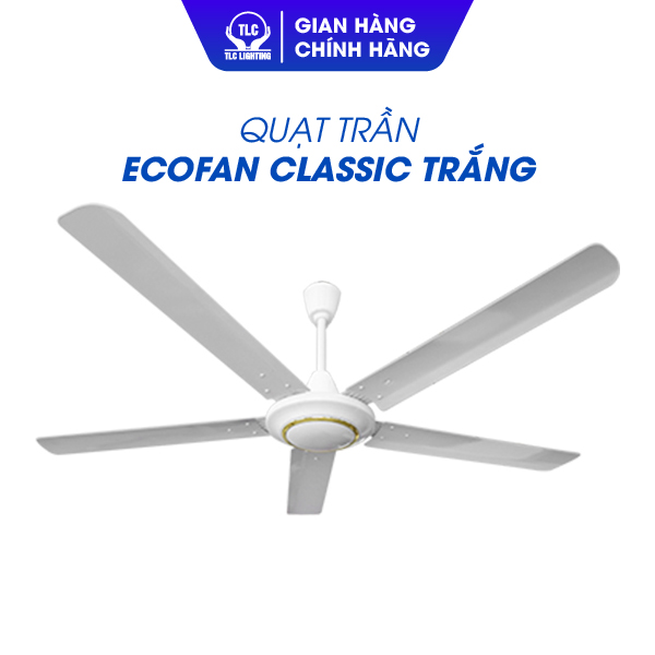 quạt trần 5 cánh TLC LIGHTING TLC-QTC-MT màu trắng sải cánh 150cm hàng chính hãng