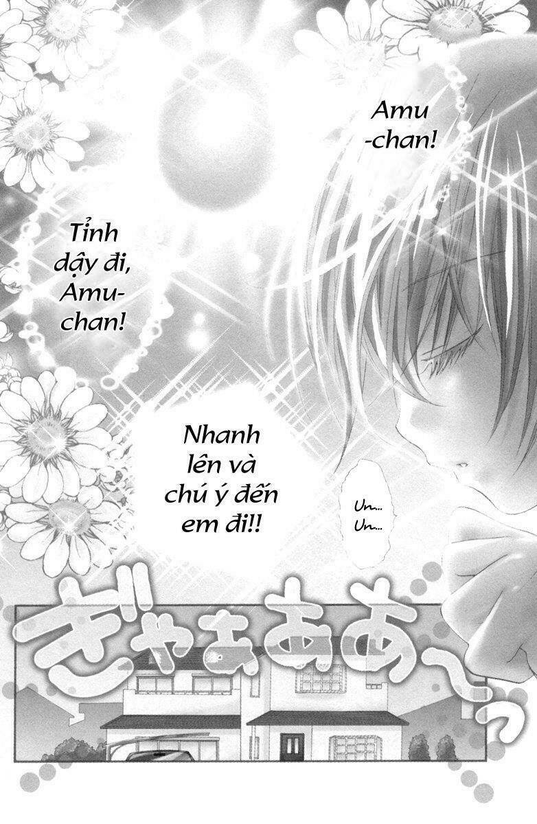 shugo chara chapter 15 10